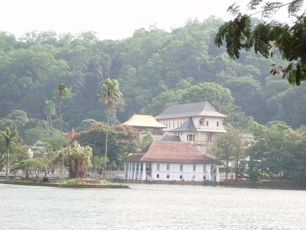 Strathisla Tea Estate Bungalow Матале Экстерьер фото