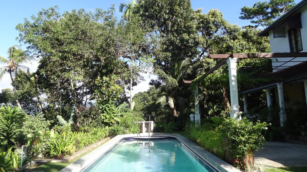 Strathisla Tea Estate Bungalow Матале Экстерьер фото