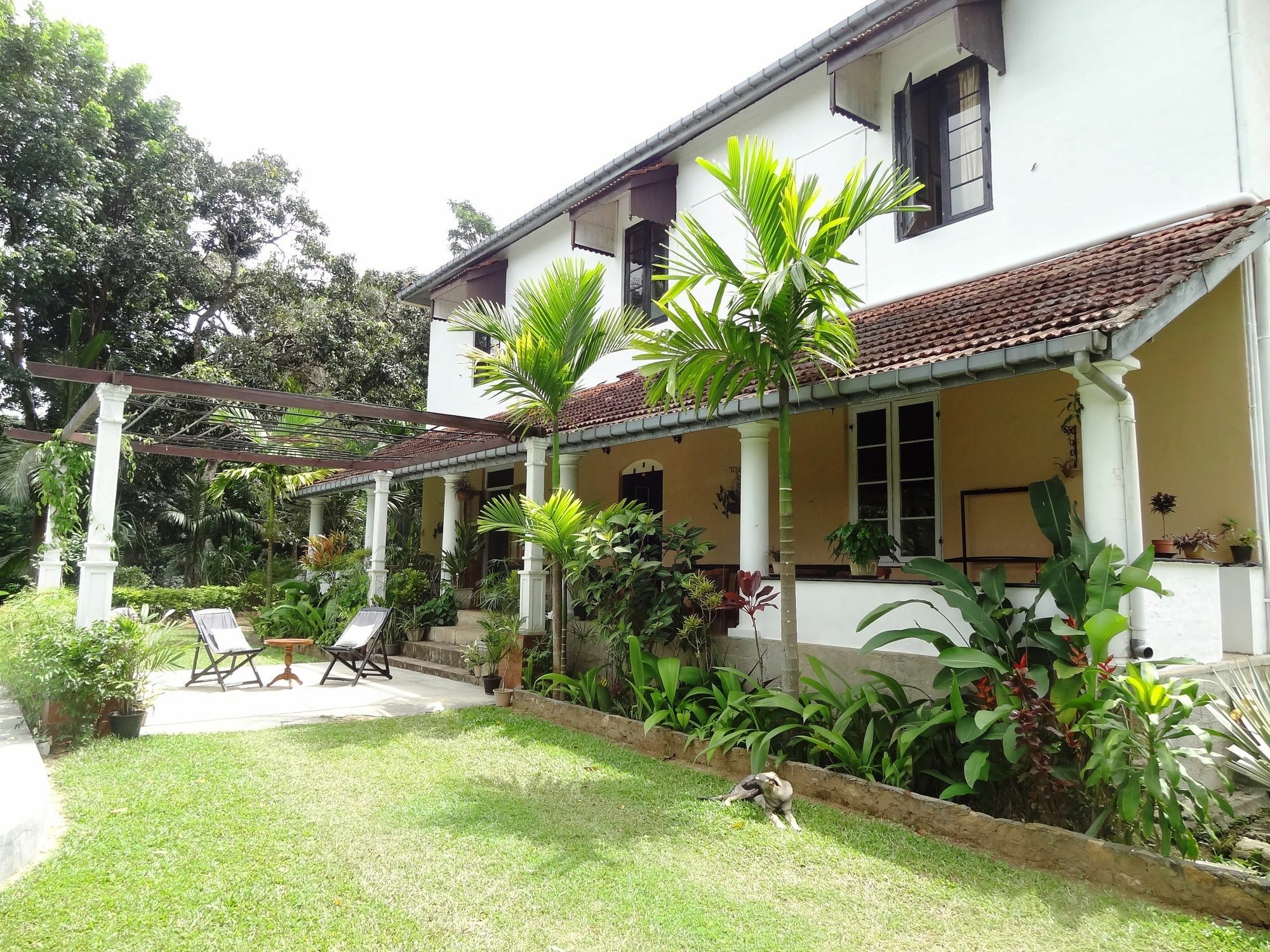 Strathisla Tea Estate Bungalow Матале Экстерьер фото